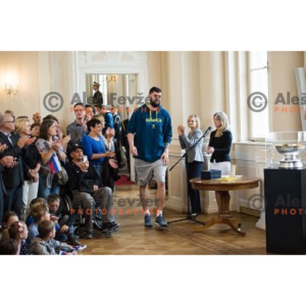 Ziga Dimec of the Slovenian basketball team at the presentation of the Golden Order of Slovenia, Presidential palace, Ljubljana, Slovenia