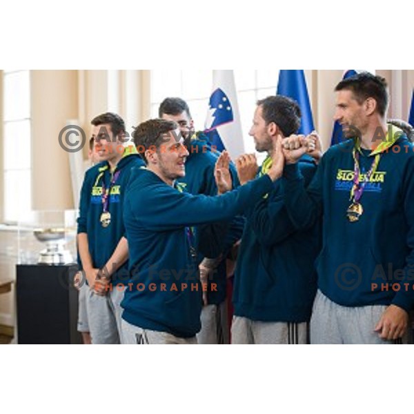 Goran Dragic of the Slovenian basketball team at the presentation of the Golden Order of Slovenia, Presidential palace, Ljubljana, Slovenia