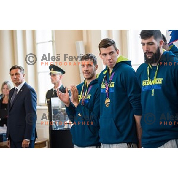 Goran Dragic of the Slovenian basketball team at the presentation of the Golden Order of Slovenia, Presidential palace, Ljubljana, Slovenia