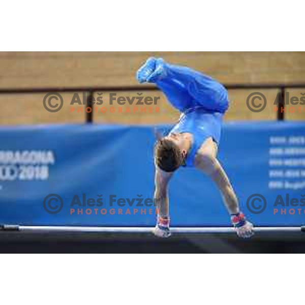 Luka Bojanc of Slovenia during Artistic Gymnastics team Qualifications at second day of 18. Mediteranean Games Tarragona 2018 (Sredozemske Igre) in Spain on June 24, 2018