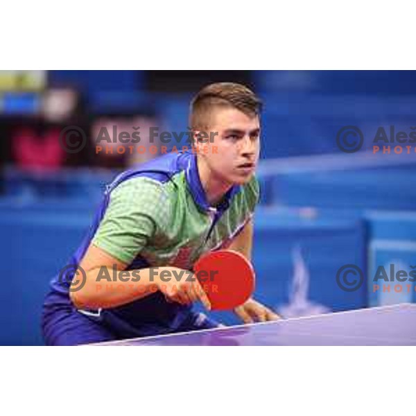 Darko Jorgic of Slovenia, gold medalist in table tennis at 18. Mediteranean Games Tarragona 2018 (Sredozemske Igre) in Spain on June 28, 2018