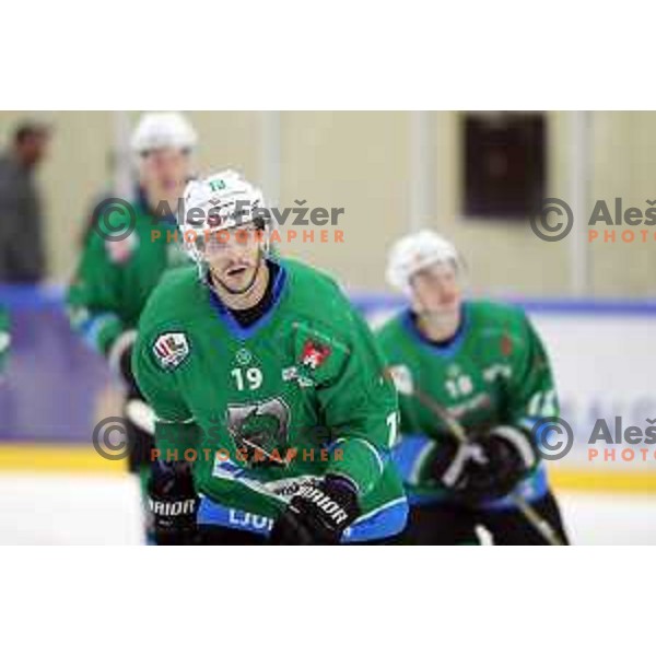 Gal Koren in action during Summer League ice-hockey match between Acroni Jesenice and SZ Olimpija in Bled Ice Hall, Slovenia on August 25, 2018