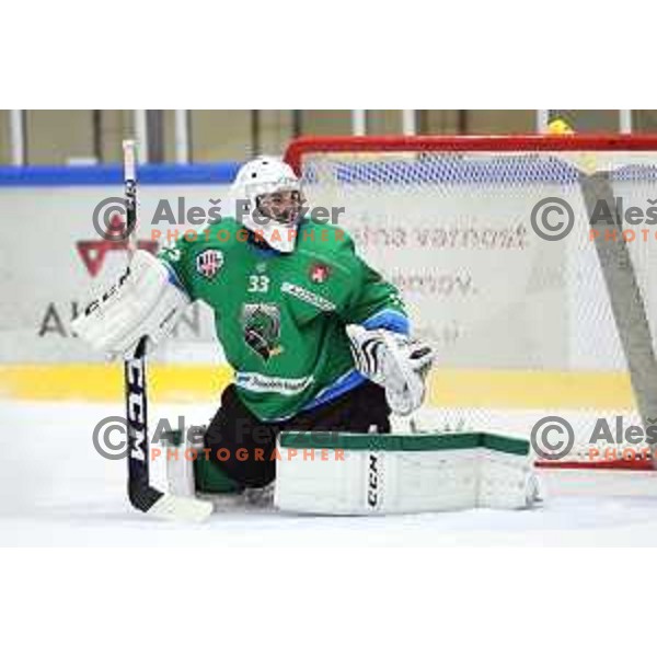 Zan Us in action during Summer League ice-hockey match between Acroni Jesenice and SZ Olimpija in Bled Ice Hall, Slovenia on August 25, 2018