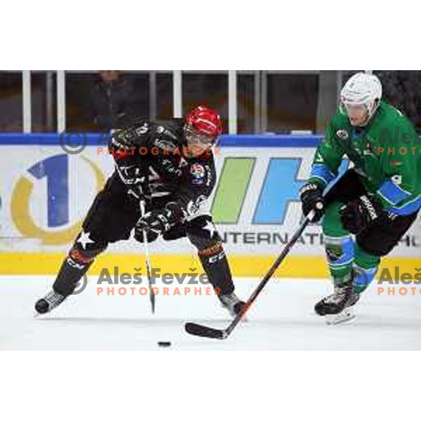 action during Summer League ice-hockey match between Acroni Jesenice and SZ Olimpija in Bled Ice Hall, Slovenia on August 25, 2018