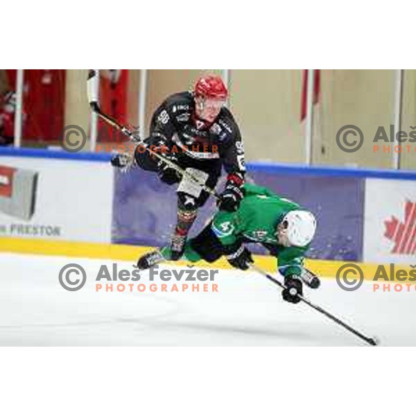action during Summer League ice-hockey match between Acroni Jesenice and SZ Olimpija in Bled Ice Hall, Slovenia on August 25, 2018