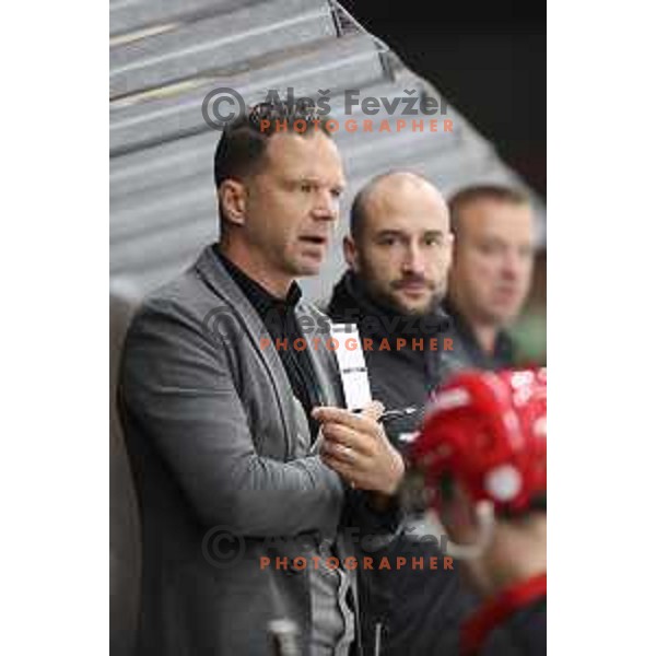Gaber Glavic, head coach of Acroni Jesenice in action during Summer League ice-hockey match between Acroni Jesenice and SZ Olimpija in Bled Ice Hall, Slovenia on August 25, 2018