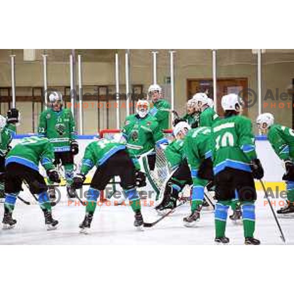 action during Summer League ice-hockey match between Acroni Jesenice and SZ Olimpija in Bled Ice Hall, Slovenia on August 25, 2018