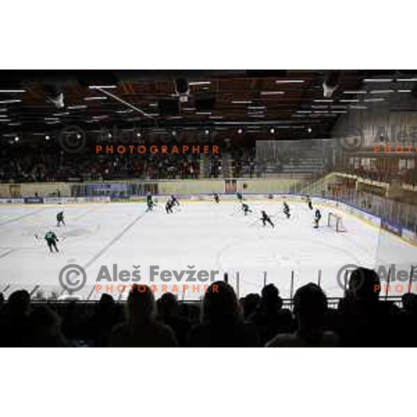 action during Summer League ice-hockey match between Acroni Jesenice and SZ Olimpija in Bled Ice Hall, Slovenia on August 25, 2018