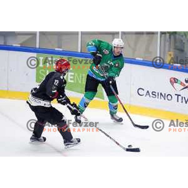action during Summer League ice-hockey match between Acroni Jesenice and SZ Olimpija in Bled Ice Hall, Slovenia on August 25, 2018