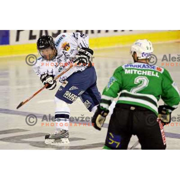 Gabor Ocskay at ice-hockey game ZM Olimpija- Alba Volan in Ebel league,played in Ljubljana 20.1.2007. ZM Olimpija won the game 5:0.Photo by Ales Fevzer 