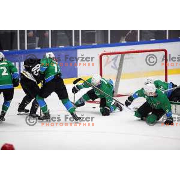 action during Summer League ice-hockey match between Acroni Jesenice and SZ Olimpija in Bled Ice Hall, Slovenia on August 25, 2018