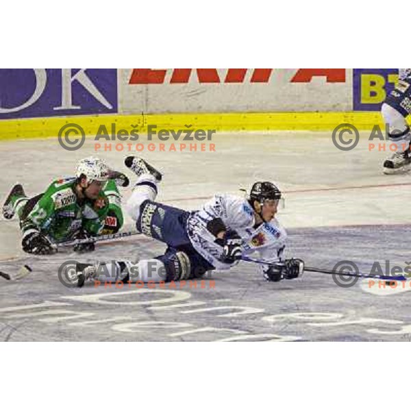 Kuznik (22) at ice-hockey game ZM Olimpija- Alba Volan in Ebel league,played in Ljubljana 20.1.2007. ZM Olimpija won the game 5:0.Photo by Ales Fevzer 
