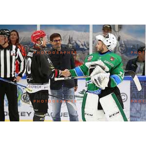 Zan Us in action during Summer League ice-hockey match between Acroni Jesenice and SZ Olimpija in Bled Ice Hall, Slovenia on August 25, 2018