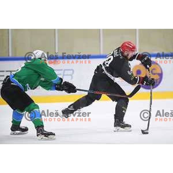 action during Summer League ice-hockey match between Acroni Jesenice and SZ Olimpija in Bled Ice Hall, Slovenia on August 25, 2018