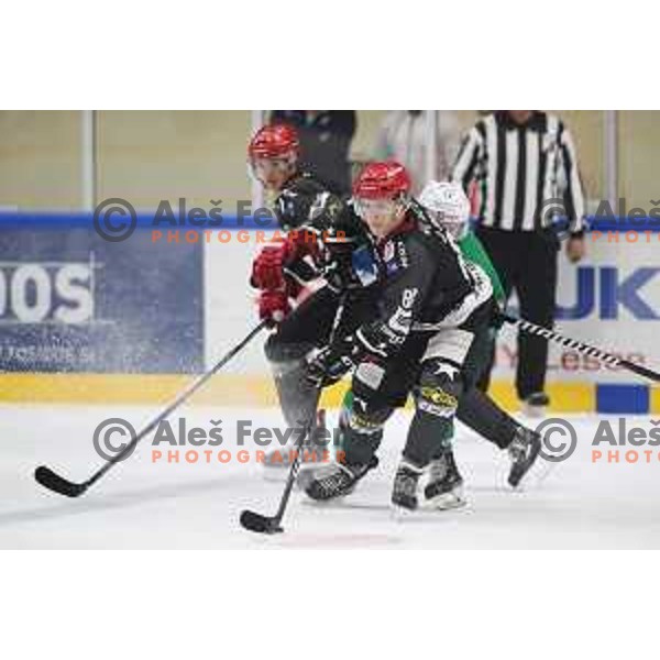 action during Summer League ice-hockey match between Acroni Jesenice and SZ Olimpija in Bled Ice Hall, Slovenia on August 25, 2018