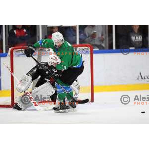 action during Summer League ice-hockey match between Acroni Jesenice and SZ Olimpija in Bled Ice Hall, Slovenia on August 25, 2018