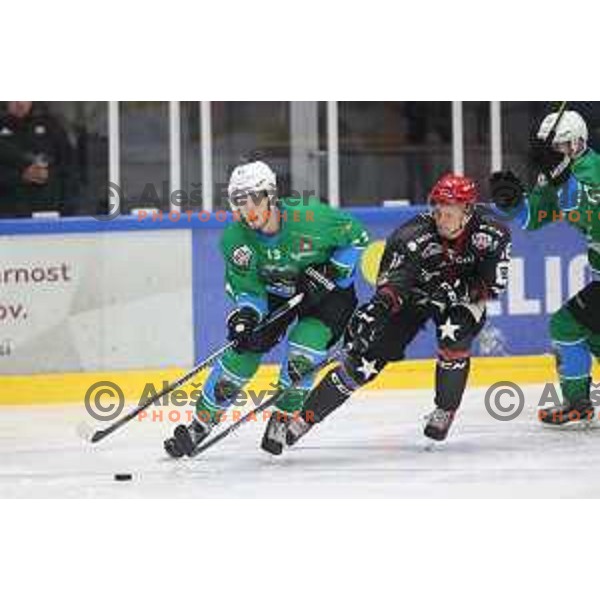 action during Summer League ice-hockey match between Acroni Jesenice and SZ Olimpija in Bled Ice Hall, Slovenia on August 25, 2018