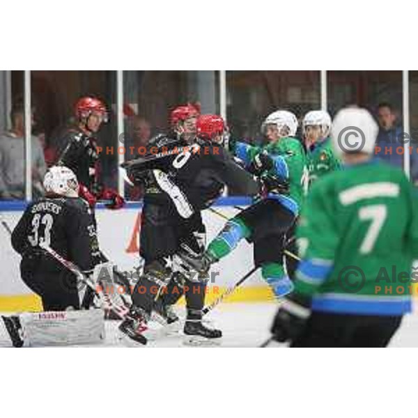 action during Summer League ice-hockey match between Acroni Jesenice and SZ Olimpija in Bled Ice Hall, Slovenia on August 25, 2018