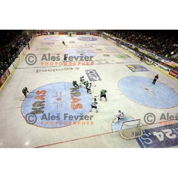 Action at ice-hockey game ZM Olimpija- Alba Volan in Ebel league,played in Ljubljana 20.1.2007. ZM Olimpija won the game 5:0.Photo by Ales Fevzer 