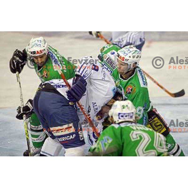 Intranuovo and Felsner at ice-hockey game ZM Olimpija- Alba Volan in Ebel league,played in Ljubljana 20.1.2007. ZM Olimpija won the game 5:0.Photo by Ales Fevzer 