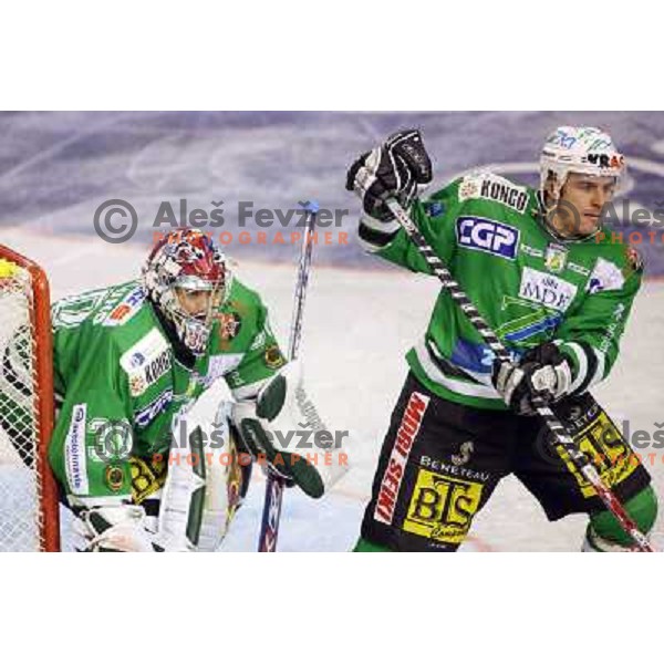 Westlund and Mccarthy at ice-hockey game ZM Olimpija- Alba Volan in Ebel league,played in Ljubljana 20.1.2007. ZM Olimpija won the game 5:0.Photo by Ales Fevzer 