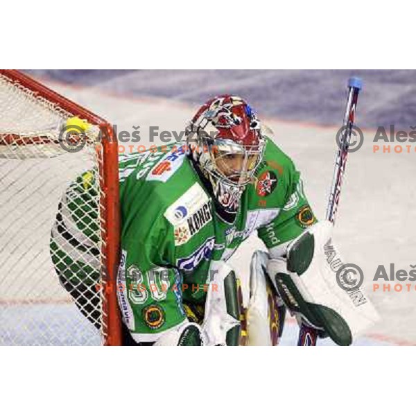 Westlund at ice-hockey game ZM Olimpija- Alba Volan in Ebel league,played in Ljubljana 20.1.2007. ZM Olimpija won the game 5:0.Photo by Ales Fevzer 