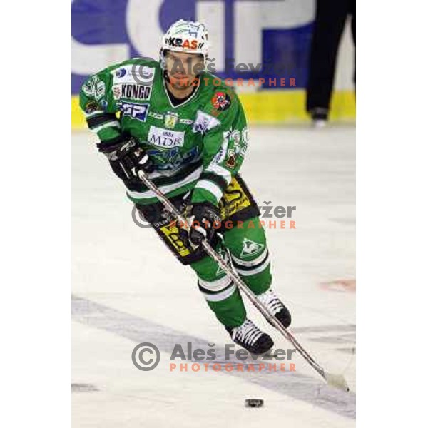 Felsner at ice-hockey game ZM Olimpija- Alba Volan in Ebel league,played in Ljubljana 20.1.2007. ZM Olimpija won the game 5:0.Photo by Ales Fevzer 