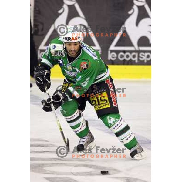 Intranuovo at ice-hockey game ZM Olimpija- Alba Volan in Ebel league,played in Ljubljana 20.1.2007. ZM Olimpija won the game 5:0.Photo by Ales Fevzer 