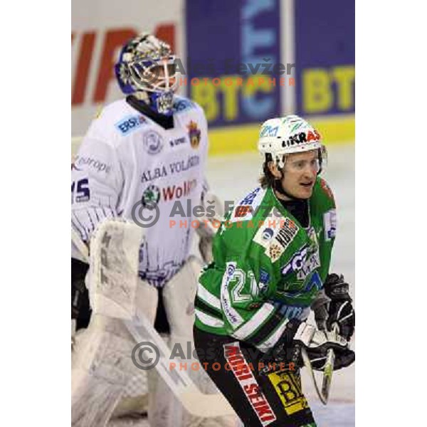 Avgustincic and Budai at ice-hockey game ZM Olimpija- Alba Volan in Ebel league,played in Ljubljana 20.1.2007. ZM Olimpija won the game 5:0.Photo by Ales Fevzer 