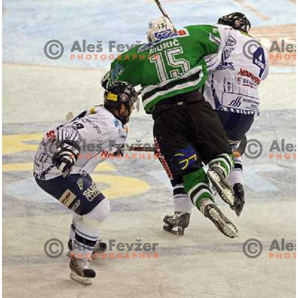 Muric at ice-hockey game ZM Olimpija- Alba Volan in Ebel league,played in Ljubljana 20.1.2007. ZM Olimpija won the game 5:0.Photo by Ales Fevzer 