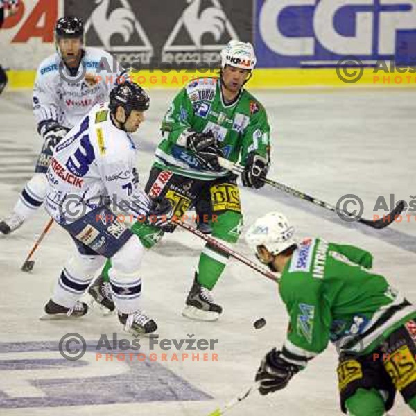 Elik at ice-hockey game ZM Olimpija- Alba Volan in Ebel league,played in Ljubljana 20.1.2007. ZM Olimpija won the game 5:0.Photo by Ales Fevzer 
