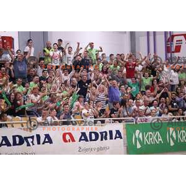 Fans in action during Slovenian Handball SuperCup between Krka and Celje Pivovarna Lasko in Novo Mesto, Slovenia on September 5, 2018