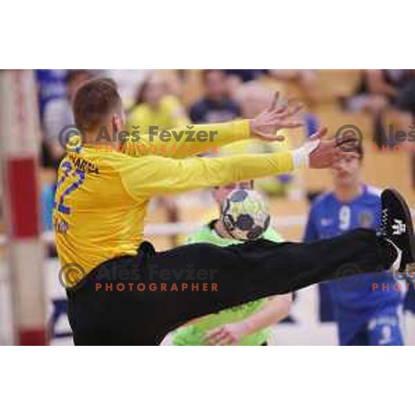 Klemen Frelih in action during Slovenian Handball SuperCup between Krka and Celje Pivovarna Lasko in Novo Mesto, Slovenia on September 5, 2018