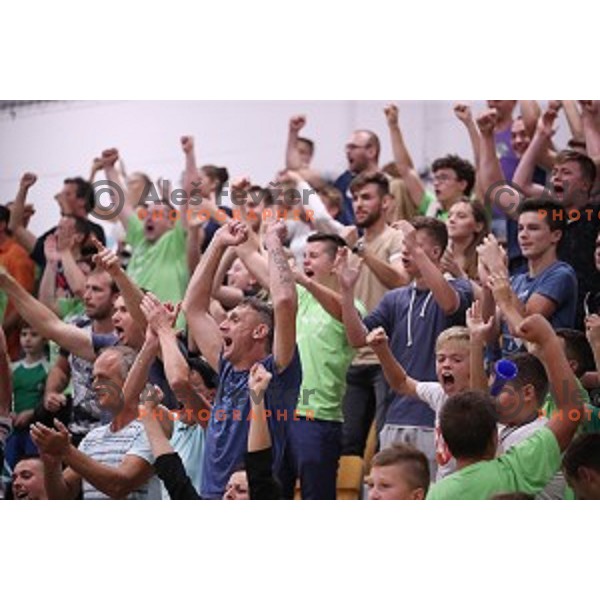 Fans if Krka in action during Slovenian Handball SuperCup between Krka and Celje Pivovarna Lasko in Novo Mesto, Slovenia on September 5, 2018