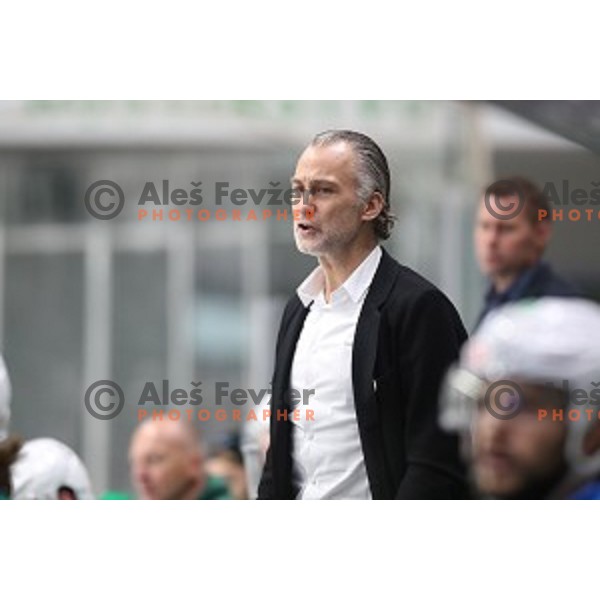 Jure Vnuk, head coach of SZ Olimpija in action during Alps League ice-hockey match between SZ Olimpija and Milano Rossoblu in Tivoli Hall, Ljubljana, Slovenia on September 23, 2018
