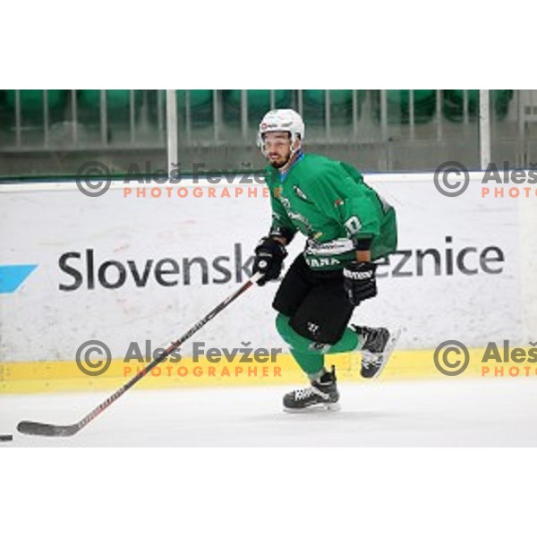 Gregor Koblar of SZ Olimpija in action during Alps League ice-hockey match between SZ Olimpija and Milano Rossoblu in Tivoli Hall, Ljubljana, Slovenia on September 23, 2018