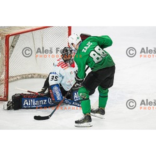 Miha Zajc in action during Alps league ice hockey match between HK SZ Olimpija and Rittner Buam , Tivoli hall, Ljubljana, Slovenia on September 29, 2018