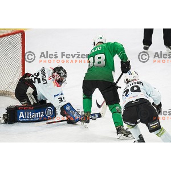 Miha Zajc in action during Alps league ice hockey match between HK SZ Olimpija and Rittner Buam , Tivoli hall, Ljubljana, Slovenia on September 29, 2018