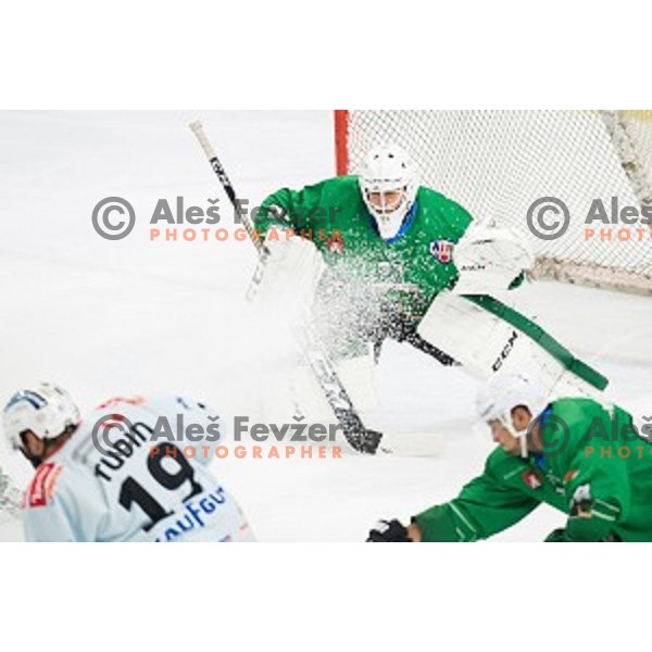 Zan Us in action during Alps league ice hockey match between HK SZ Olimpija and Rittner Buam , Tivoli hall, Ljubljana, Slovenia on September 29, 2018