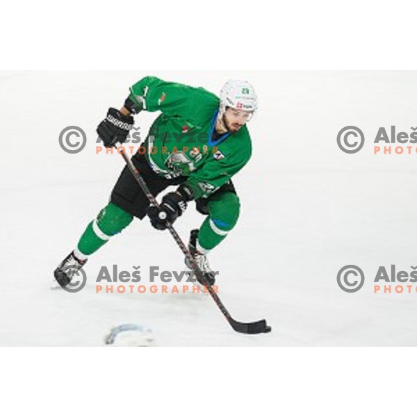 Gregor Koblar in action during Alps league ice hockey match between HK SZ Olimpija and Rittner Buam , Tivoli hall, Ljubljana, Slovenia on September 29, 2018
