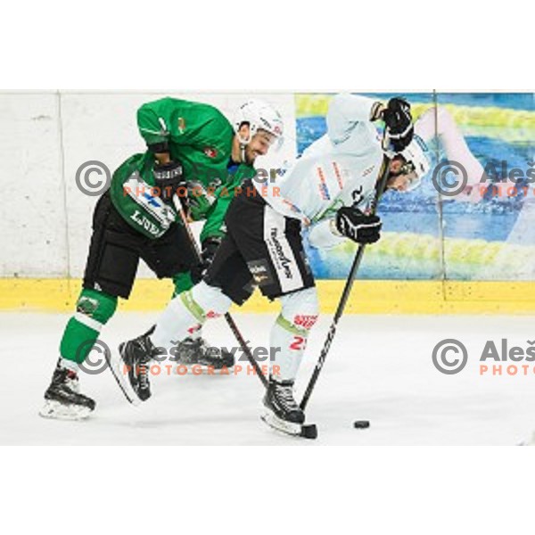 Patrik Tislar in action during Alps league ice hockey match between HK SZ Olimpija and Rittner Buam , Tivoli hall, Ljubljana, Slovenia on September 29, 2018