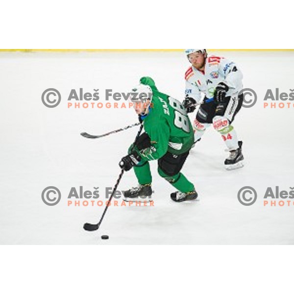 Miha Zajc in action during Alps league ice hockey match between HK SZ Olimpija and Rittner Buam , Tivoli hall, Ljubljana, Slovenia on September 29, 2018