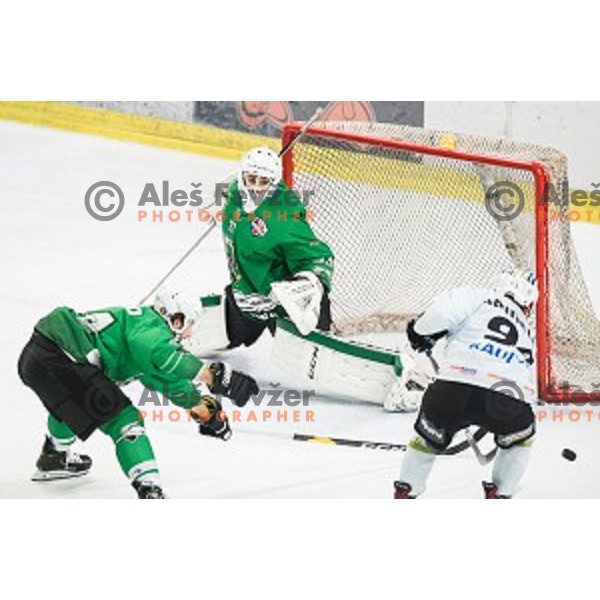 Zan Us in action during Alps league ice hockey match between HK SZ Olimpija and Rittner Buam , Tivoli hall, Ljubljana, Slovenia on September 29, 2018