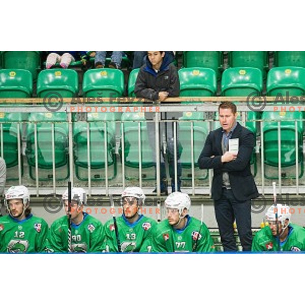 SZ Olimpija in action during Alps league ice hockey match between HK SZ Olimpija and Rittner Buam , Tivoli hall, Ljubljana, Slovenia on September 29, 2018