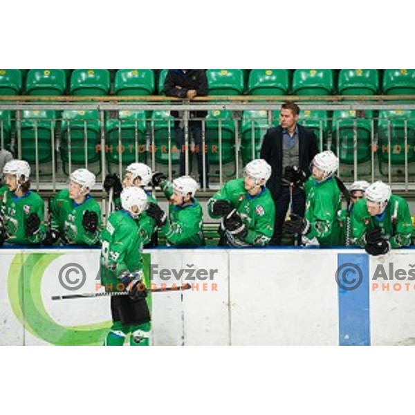 SZ Olimpija in action during Alps league ice hockey match between HK SZ Olimpija and Rittner Buam , Tivoli hall, Ljubljana, Slovenia on September 29, 2018