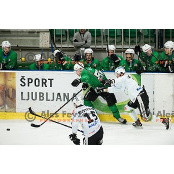 Ales Music, Miha Zajc in action during Alps league ice hockey match between HK SZ Olimpija and Rittner Buam , Tivoli hall, Ljubljana, Slovenia on September 29, 2018