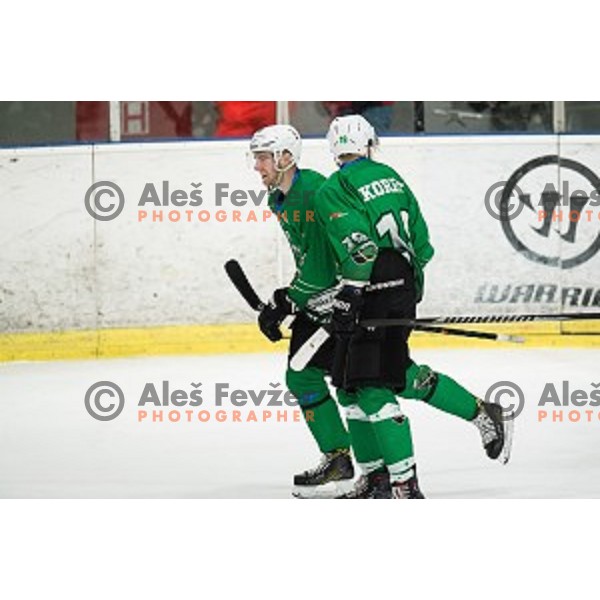 SZ Olimpija in action during Alps league ice hockey match between HK SZ Olimpija and Rittner Buam , Tivoli hall, Ljubljana, Slovenia on September 29, 2018