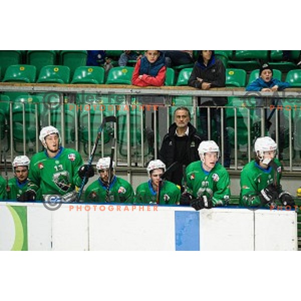 Jure Vnuk in action during Alps league ice hockey match between HK SZ Olimpija and Rittner Buam , Tivoli hall, Ljubljana, Slovenia on September 29, 2018