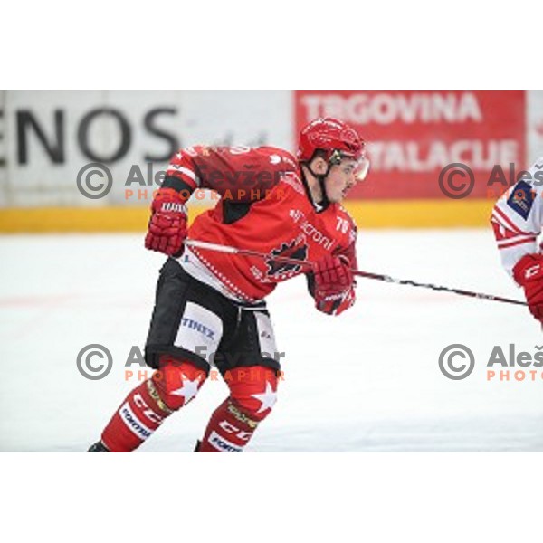 of Jesenice in action during Alps League ice-hockey match between Jesenice and KAC 2 in Podmezakla Hall, Jesenice, Slovenia on October 3, 2018