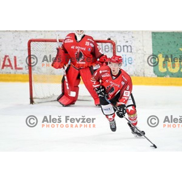 of Jesenice in action during Alps League ice-hockey match between Jesenice and KAC 2 in Podmezakla Hall, Jesenice, Slovenia on October 3, 2018